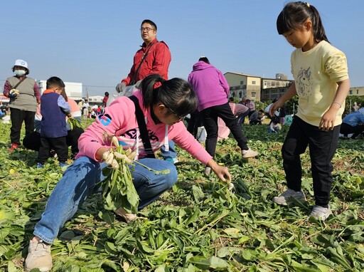 迎新年好彩頭｜雲林斗六拔蘿蔔助公益人潮滾滾