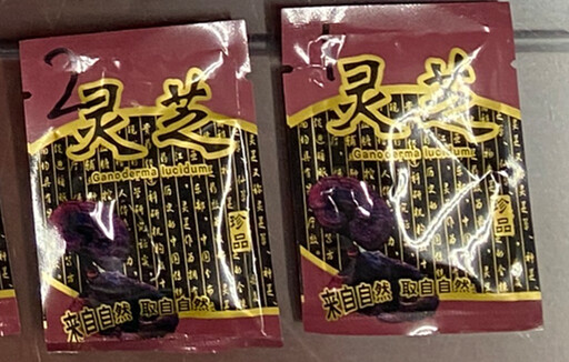 「天然珍品靈芝？」｜竟是這個！！！