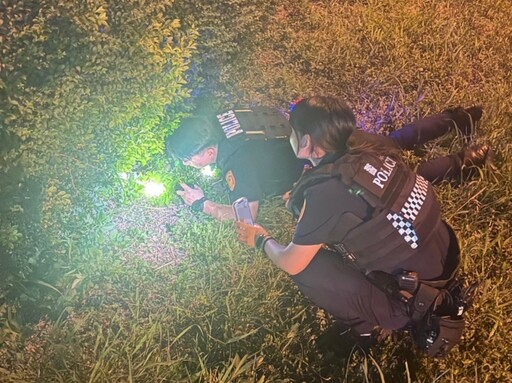 幼貓誤闖交流道 三重警用貓叫聲與零食溫情救援