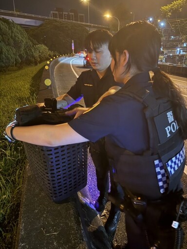 幼貓誤闖交流道 三重警用貓叫聲與零食溫情救援