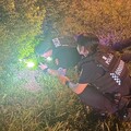幼貓誤闖交流道 三重警用貓叫聲與零食溫情救援