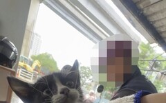 車頭燈傳出喵喵聲 三峽警溫柔救援暖人心