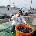 首批石斑魚貨出港了！ 蘇清泉：我們用行動照顧農漁民