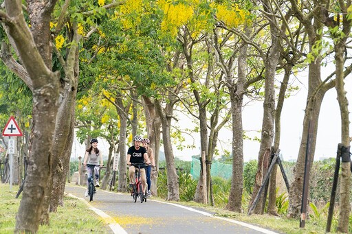 嘉義阿勃勒盛開 最美賞花點大公開