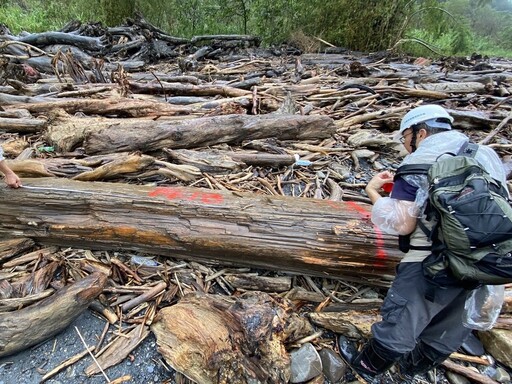 凱米強風豪雨帶出漂流木擱置溪床或海灘 林業保育署呼籲暫勿撿拾漂流木以免觸法