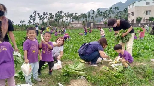 美濃客家庄迎接白玉蘿蔔季 教學農場鄉土體驗活動夯