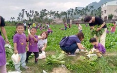 美濃客家庄迎接白玉蘿蔔季 教學農場鄉土體驗活動夯