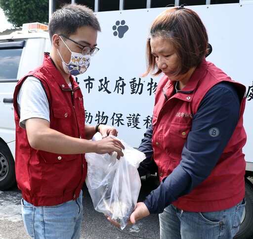 心志如恐龍勇敢 葉黃昌用生命守護新北流浪動物感人故事