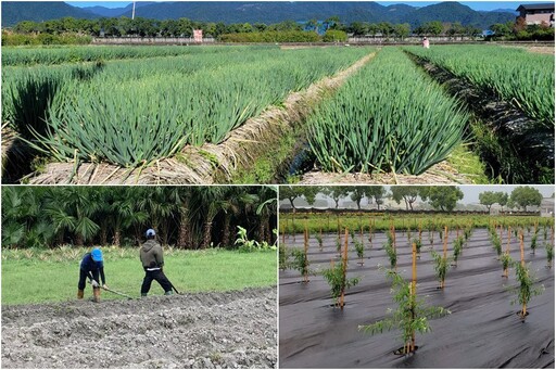 山陀兒逼進東台灣 花蓮區農改場籲宜花農友做好防颱措施