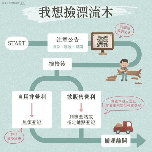 撿漂流木罰金高達2,000萬 新北市民請勿冒險觸法