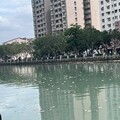 康芮颱風造成運河滿是魚屍李啟維議員呼籲南市府要做好雨污分流