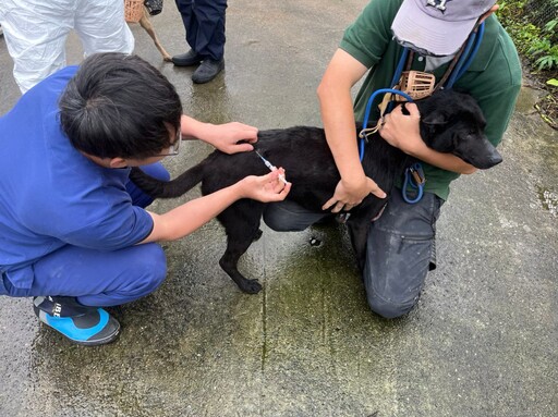 動物福利大進步 新北動保處推全新稽查制度提升收容品質