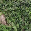 康芮颱風災情猶存！ 五峰旗登山步道即日起長期休園