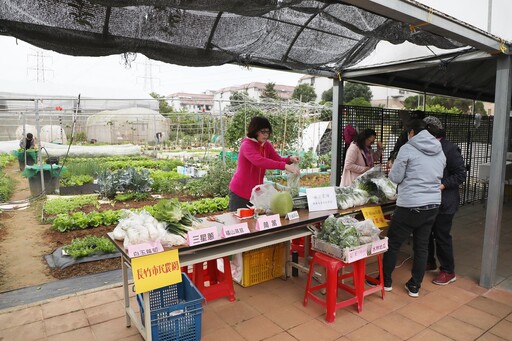 長竹市民農園推廣食農教育 友善農法打造「有機家園」