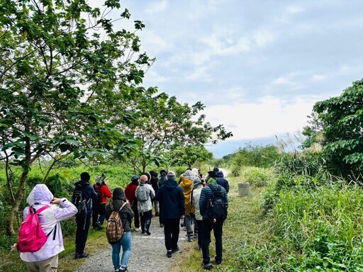 「國際大使」來作客 黑面琵鷺現蹤五股濕地