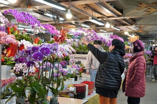 春節團圓添花香 板橋花市延長營業迎接新年氣息