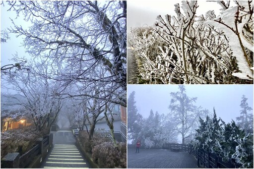 影音∕強烈寒流來襲 太平山2/8早上下冰霰 若持續低溫可能會下雪