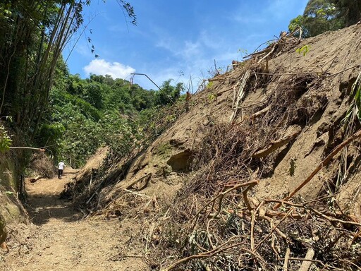 杜絕山坡地違規開發 週報制度上路加速查處