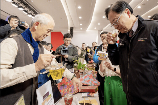 桃園魯冰花季擴大登場 花海擴展至12公頃 讓你賞花玩茶一次滿足