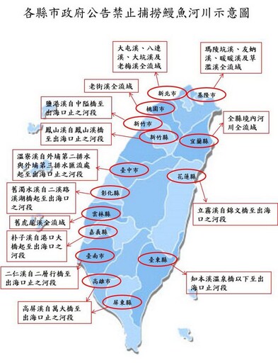 鰻苗捕撈期即將結束 3/1起禁捕8個月