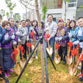 公益不落人後 國際獅子會300B3區桃園植樹 張善政力讚綠化貢獻