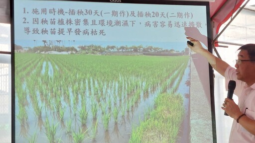 影音/免登農藥資材黑修羅 防治稻熱病、根瘤線蟲達到防治效果