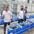 臺日攜手合作 推動遠距智慧農業支援系統