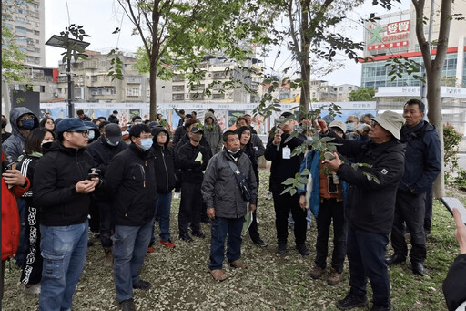 提升綠美化戰力 新北市護樹教育課程5月開訓 即日起受理報名