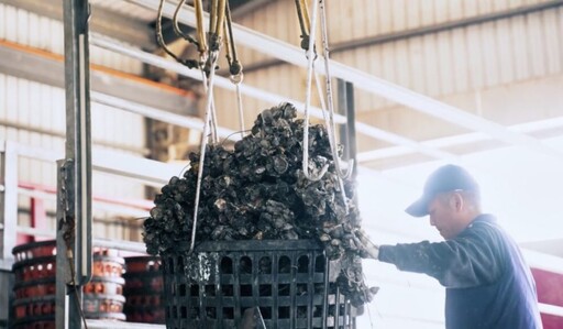打造台灣紡織業ESG典範！衣的藝術執行長：助力企業形象