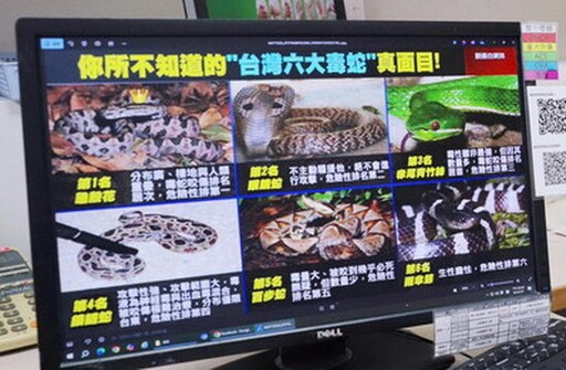 影音/蛇毒血清使用量上升 醫生提醒民眾注意