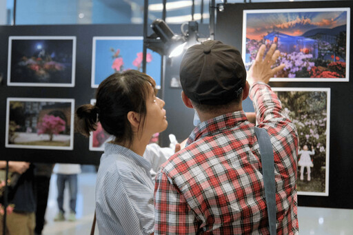 新北萬金杜鵑攝影展6/4登場 限量烏來杜鵑花苗免費送 邀您賞美景、植好樹