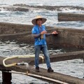 推動生態旅遊 走讀東北角貢寮河海之美