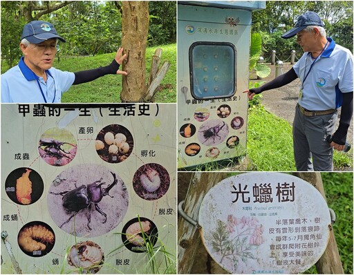 影音/蟲蟲嘿咻！ 深溝園區上演愛愛秀！