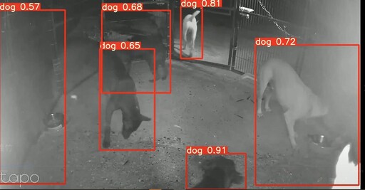 嘉義縣導入AI智慧捕犬系統 義竹鄉試辦一週成效顯著