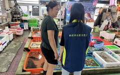 漁業處籲全民保育蟳蟹資源 新北8/1起禁捕抱卵母蟹 違者最高罰15萬!