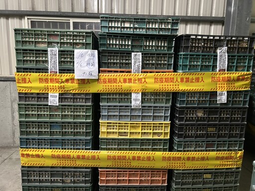 芬普尼蛋雞複檢樣本再次檢出 縣府立即啟動全面禁止移動管制與監測