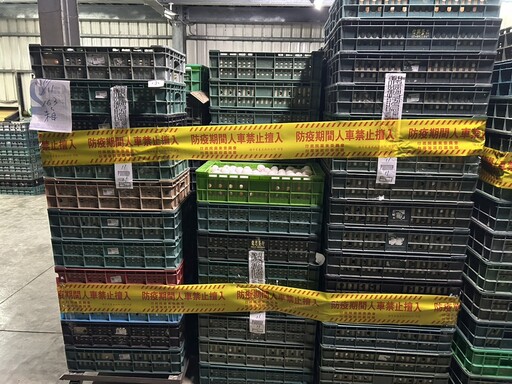 強化源頭把關 彰化啟動蛋雞場「芬普尼全面採樣監測」