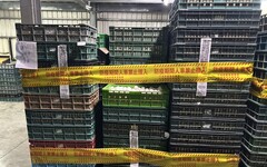 強化源頭把關 彰化啟動蛋雞場「芬普尼全面採樣監測」