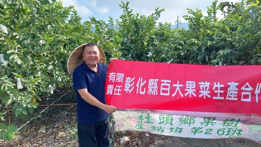 影音/「哇好貴喔」！芭樂價格創歷史新高 果農無奈採收率僅剩兩成