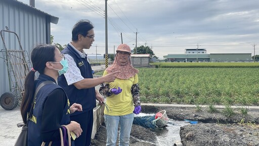 溪湖新住民勤耕韭菜花田 用雙手摘出雙學霸