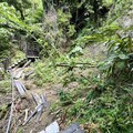 大坑10號登山步道全力加速復建 中市府籲民眾配合封閉管制確保安全