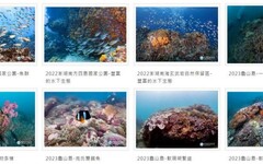 記錄海洋精彩時刻~海洋保育署推出「海洋保育圖庫專區」