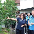 豪雨造成苗栗紅棗嚴重災損鍾東錦勘查 要求盡速報請農業部辦理現金救助