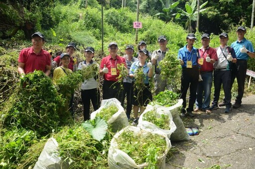 公私協力拔除小花蔓澤蘭 營造優質環境永續利用