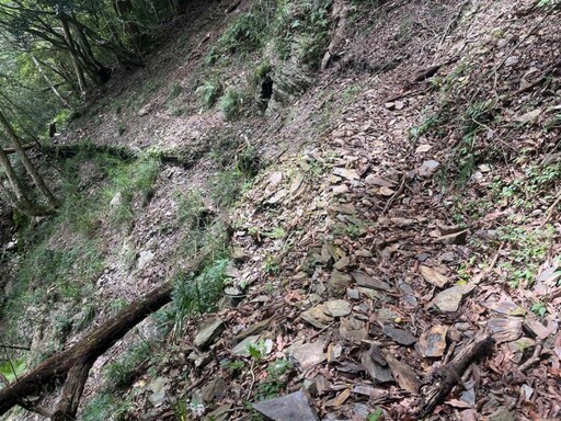 八通關越嶺線西段(東埔至觀高)步道 持續派員修護中