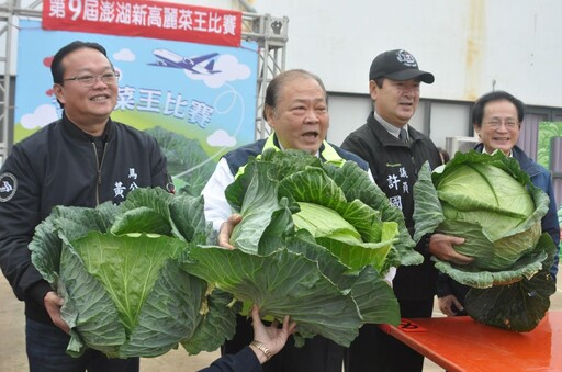 第9屆澎湖新高麗菜王比賽 高麗菜王得主出爐