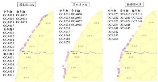 白海豚的秘密生活！海保署公布113年監測成果