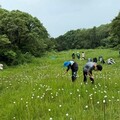 荒野保護協會保護蓮花寺濕地獲特優 楊文科表揚肯定