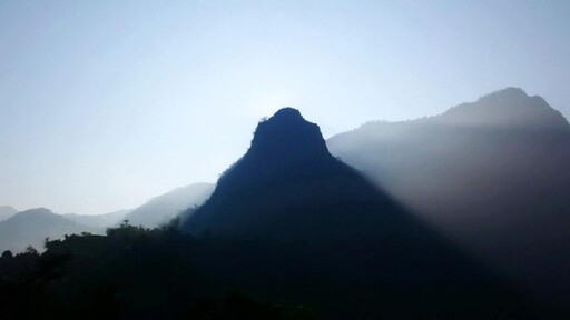 嘉義梅山「寒溪呢森林人文叡地」能量園區賞花盛地好去處