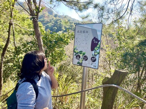 開箱台中大坑賞鳥秘境！中市觀旅局邀民眾探索3號鳥語步道